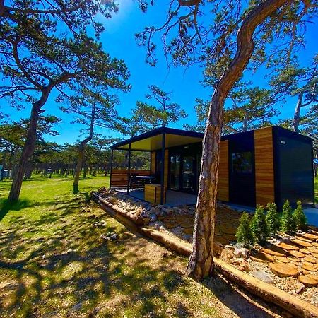 Вилла Mobile House A&A Ражанац Экстерьер фото